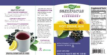 Nature's Way Sambucus Hot Drink Mix Honey Lemon-Berry Flavored - supplement