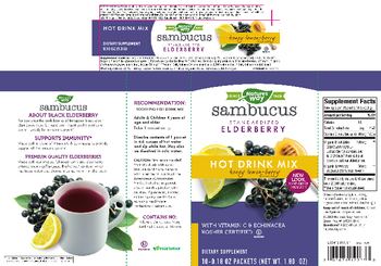 Nature's Way Sambucus Hot Drink Mix Honey Lemon-Berry Flavored - supplement