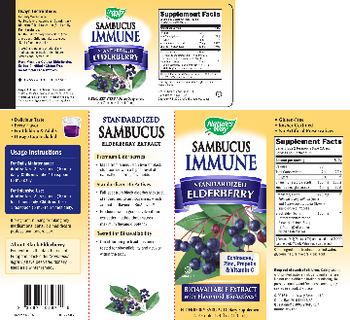 Nature's Way Sambucus Immune Berry Flavor - supplement