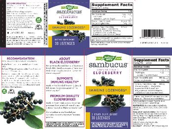 Nature's Way Sambucus Immune Lozenges - supplement