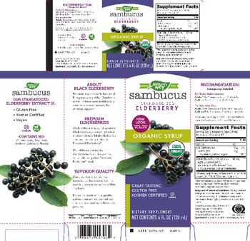 Nature's Way Sambucus Organic Syrup - supplement