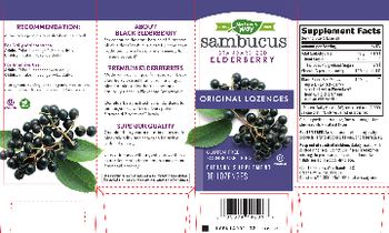 Nature's Way Sambucus Original Lozenges - supplement