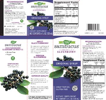 Nature's Way Sambucus Original Syrup - supplement