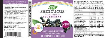 Nature's Way Sambucus Standardized Elderberry for Kids - supplement