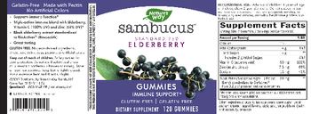 Nature's Way Sambucus Standardized Elderberry Gummies - supplement