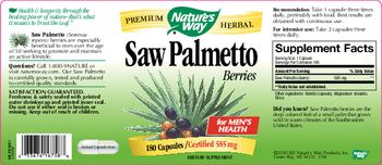 Nature's Way Saw Palmetto Berries - supplement