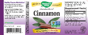 Nature's Way Standardized Cinnamon - supplement