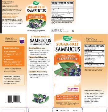 Nature's Way Sugar-Free Sambucus - supplement