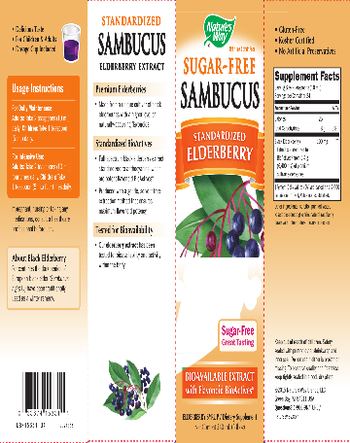 Nature's Way Sugar-Free Sambucus - supplement