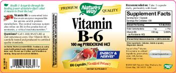 Nature's Way Vitamin B-6 100 mg - supplement