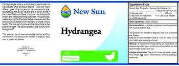 New Sun Hydrangea - 
