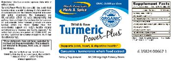 North American Herb & Spice Turmeric Power-Plus 500 mg - supplement
