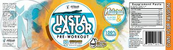 NorthBound Nutrition InstaGator Pre-Workout Whipped Orange Cream - supplement