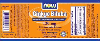 NOW Ginkgo Biloba 120 mg - supplement