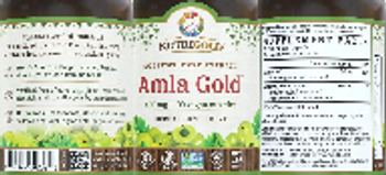 NutriGold Amla Gold 500 mg - supplement