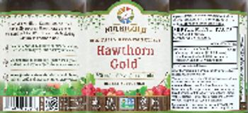 NutriGold Hawthorn Gold 300 mg - supplement