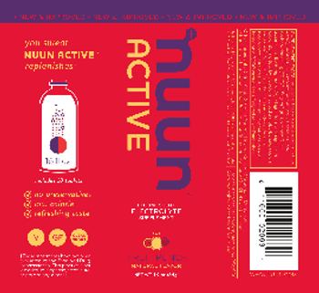 Nuun Active Fruit Punch - effervescent electrolyte supplement
