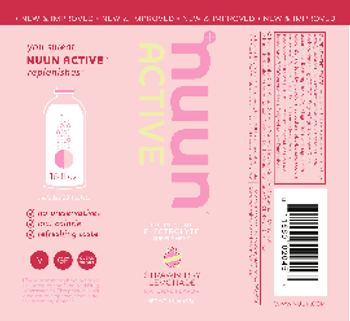 Nuun Active Strawberry Lemonade - effervescent electrolyte supplement