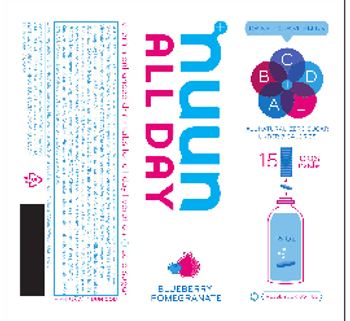 Nuun All Day Blueberry Pomegranate - 
