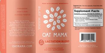Oat Mama Slay Mama Lactation Blend - supplement
