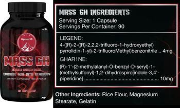 Olympus UK Mass GH - supplement