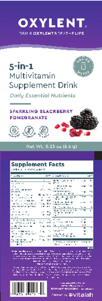 Oxylent Oxylent 5-In-1 Multivitamin Supplement Drink Sparkling Blackberry Pomegranate - 5in1 multivitamin supplement drink