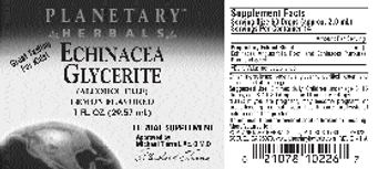 Planetary Herbals Echinacea Glycerite Lemon Flavored - herbal supplement