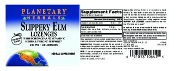 Planetary Herbals Slippery Elm Lozenges Tangerine Flavor - herbal supplement