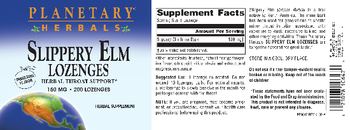 Planetary Herbals Slippery Elm Lozenges Tangerine Flavor 150 mg - herbal supplement