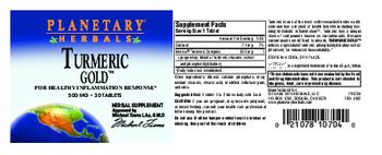 Planetary Herbals Turmeric Gold 500 mg - herbal supplement