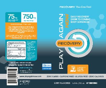 Play Again Now Recovery Berry Flavored - 