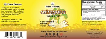 Plum Flower Astragalus - herbal supplement