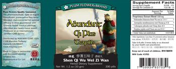 Plum Flower Brand Abundant Qi Plus Teapills - herbal supplement