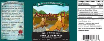 Plum Flower Brand Abundant Qi Teapills - herbal supplement