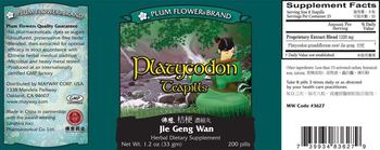 Plum Flower Brand Platycodon Teapills (Jie Geng Wan) - herbal supplement