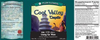 Plum Flower Cool Valley Teapills (Liang Ge Wan) - herbal supplement