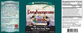 Plum Flower Five Ancestors Teapills Wu Zi Yan Zong Wan - herbal supplement