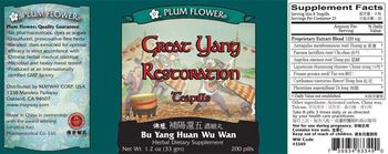 Plum Flower Brand Great Yang Restoration Teapills Bu Yang Huan Wu Wan - herbal supplement