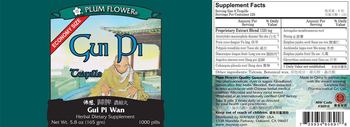 Plum Flower Gui Pi Teapills Gui Pi Wan - herbal supplement