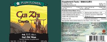Plum Flower Gui Zhi Teapills - herbal supplement