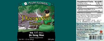 Plum Flower Platycodon Teapills - herbal supplement