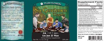 Plum Flower Six Gentleman Teapills (Liu Jun Zi Wan) - herbal supplement