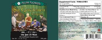 Plum Flower Six Gentlemen Teapills - herbal supplement