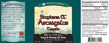 Plum Flower Stephania & Astragalus Teapills (Fang Ji Huang Qi Wan) - herbal supplement