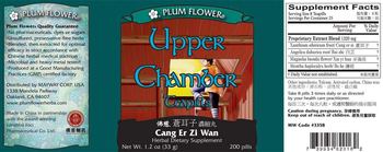 Plum Flower Upper Chamber Teapills (Cang Er Zi Wan) - herbal supplement