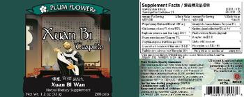 Plum Flower Xuan Bi Teapills - herbal supplement