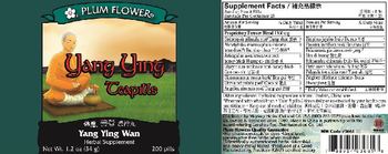 Plum Flower Yang Ying Teapills - herbal supplement