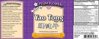 Plum Flower Yao Tong Pian - herbal supplement