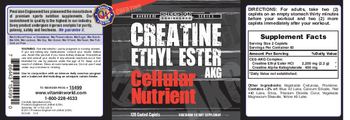 Precision Engineered Creatine Ethyl Ester AKG - vegetarian supplement