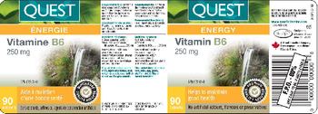 Quest Vitamin B6 250 mg - 